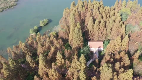 Forest in autumn Stock Footage 165823124