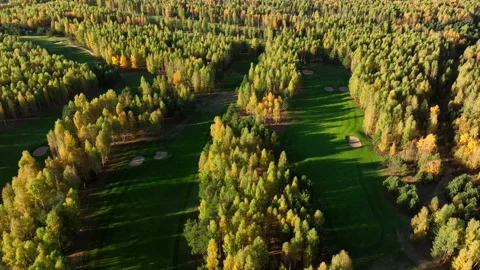 Forest in autumn. Golf course in Forest fall, drone view Stock Footage 226836104
