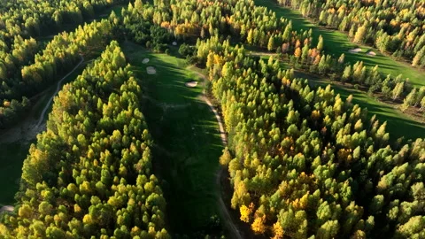 Forest in autumn. Golf course in Forest fall, drone view Stock Footage 226837518