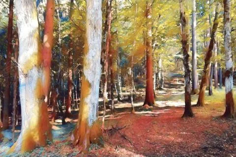 Forest  in  autumn Stock Photos
