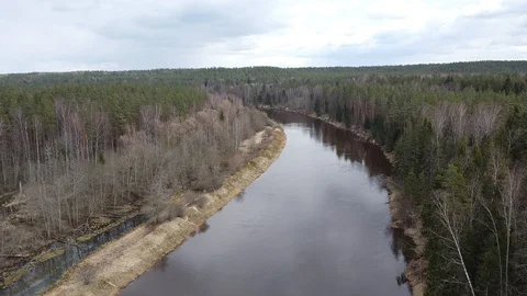 Forest autumn river Video stock 129367265