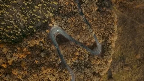 Forest autumn road 스톡 동영상 99206043