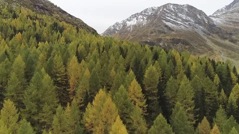 A forest of autumn trees in the high mountains - DOLOMITES Stock Footage 129357869