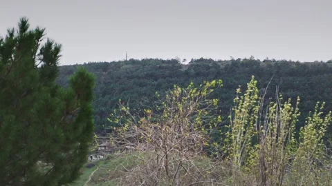 Forest away in the countryside Stock Footage 106728302