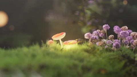 Forest Bacground Stockbeeldmateriaal 231311233
