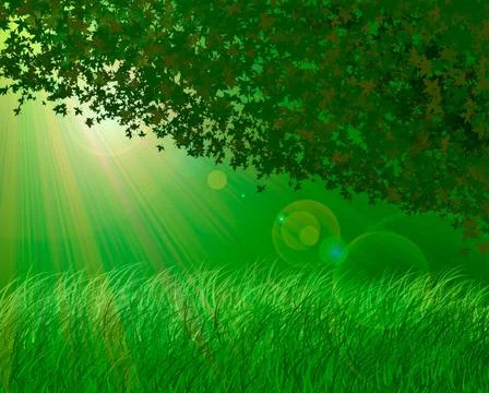 Forest background Abstract forest background Copyright: xZoonar.com/Ruslan... Stock Photos