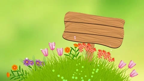 Forest background with flowers, grass, and wooden board 스톡 동영상 234110610