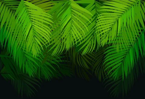 Forest Background Stock Illustration