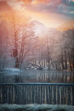 Forest in the background of mountains Stock Photos