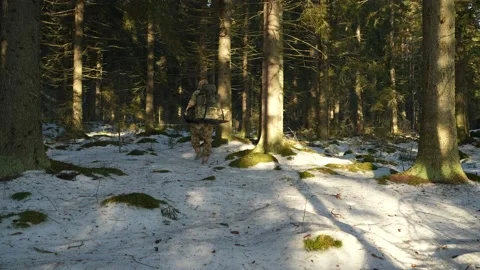 A forest with a backpack goes on a snow-covered forest view from the back Stock-Footage 233594327