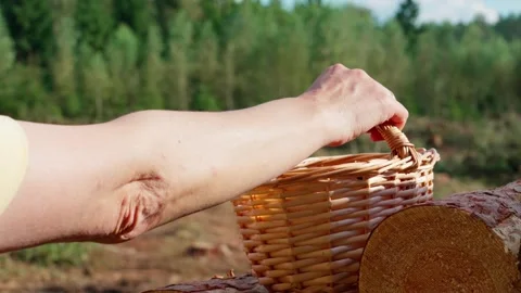 In the forest with a basket Video stock 327457999