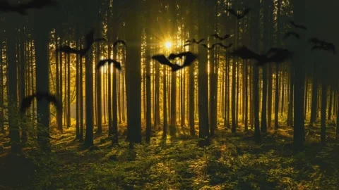 Forest with Bats Flying at Sunrise Stock Footage 311762362