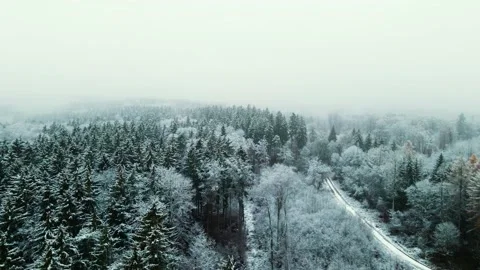 Forest in Bavaria Stock Footage