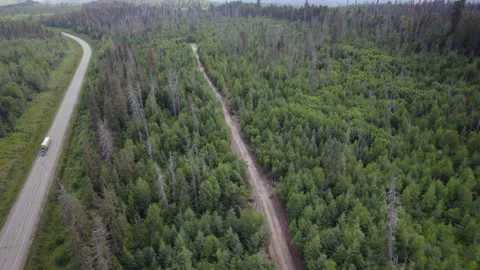 Forest in BC Stock Footage 249952773