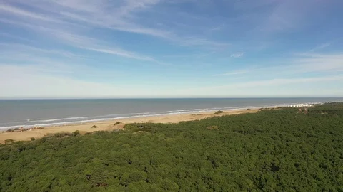 Forest &amp; Beach Stock Footage 116823033