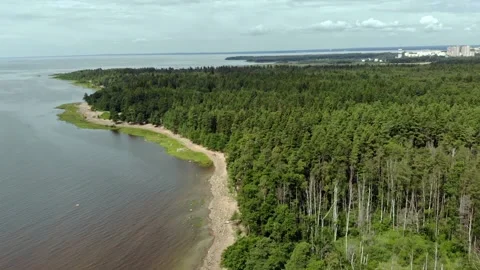 Forest beach Stock Footage 150160093