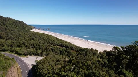 Forest by the beach Video stock 248566882