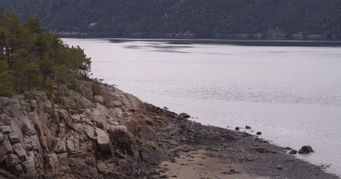 Forest beach lake Stock Footage 116783245