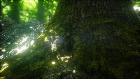 Forest of Beech Trees illuminated by Sunbeams Stock Illustration