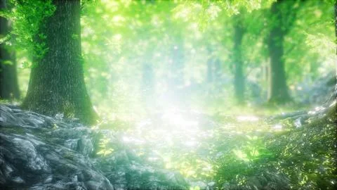 Forest of Beech Trees illuminated by Sunbeams Stock Illustration