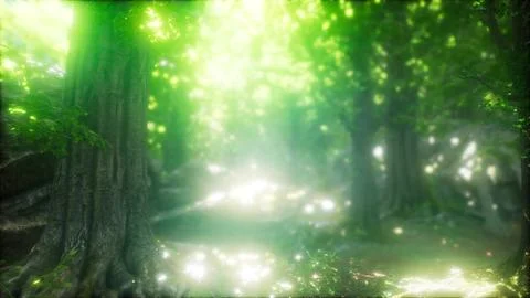 Forest of Beech Trees illuminated by Sunbeams Stock Illustration