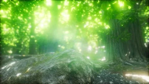 Forest of Beech Trees illuminated by Sunbeams Stock Illustration