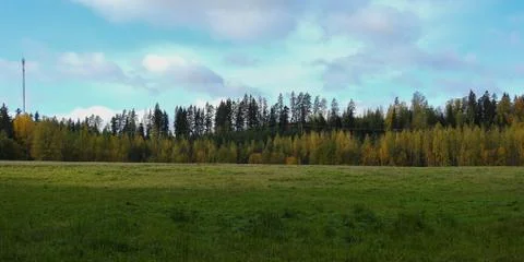 Forest behind a field Stock Photos