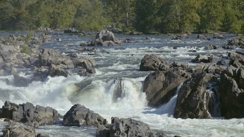 Forest behind rapids on the Potomac River Stock-Footage 91920686