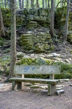 Forest Bench and Limestone Formation Stock Photos