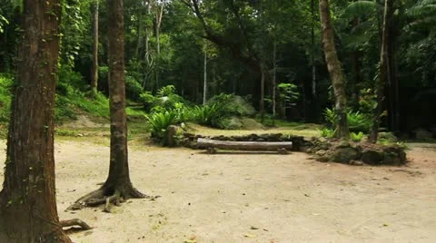 Forest Bench Video stock 21807935