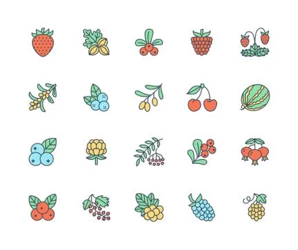 Forest berries colored flat line icons - blueberry, cranberry, raspberry Stock Illustration