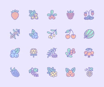 Forest berries colored flat line icons - blueberry, cranberry, raspberry Illustrazione stock