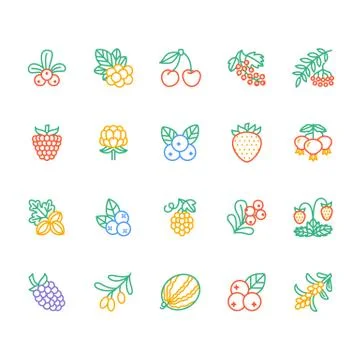 Forest berries colored flat line icons - blueberry, cranberry, raspberry Stock Illustration
