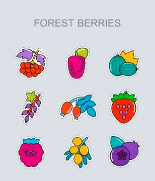 Forest berries icons set Stock Illustration