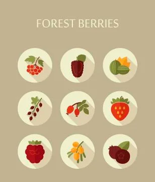 Forest berries icons set Stock Illustration