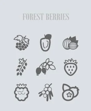 Forest berries icons set Stock Illustration