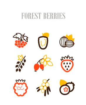 Forest berries icons set Stock Illustration