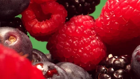 Forest Berries - Macro Dolly moves in the Berries with Green Box Stock Footage 126769082