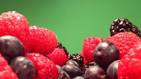 Forest Berries - Macro Dolly moves in the Berries with Green Box Stock Footage 126769183