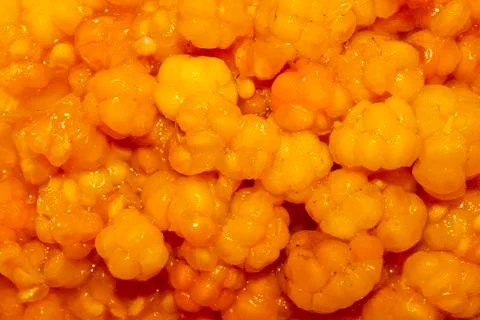 Forest berry cloudberry.Background cloudberry with sugar. Stock Photos