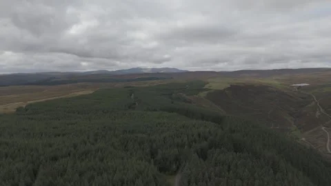Forest in the Berwyn Mountains Stock Footage 288749190