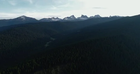 Forest. Big forest. A lot of forest. Aerial view. Hills and forest. Video stock 112813582