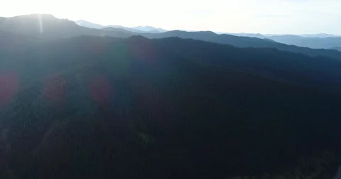 Forest. Big forest. A lot of forest. Aerial view. Hills and forest. Video stock 112813970
