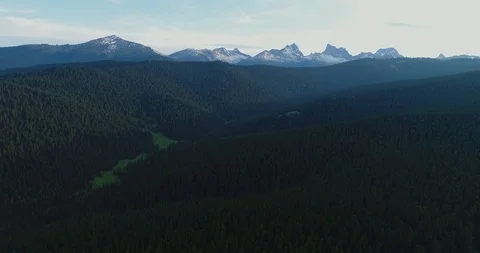Forest. Big forest. A lot of forest. Aerial view. Hills and forest. Stock Footage 112815211