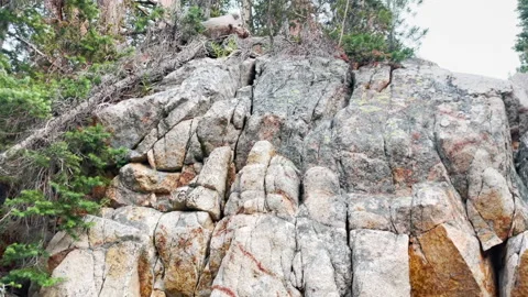 Forest Big Stones View Stock Footage 250962886