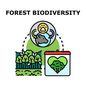 Forest biodiversity concept illustrating ecosystem and animal protection Stock Illustration