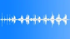 Forest Bird Singing 2 (Nature, Quiet, Relax) Sound Effect