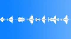 Forest Birds 2 Sound Effect