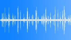 Forest Birds and Crow Croaking AmbianceSound Effect