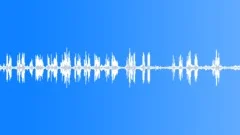 Forest Birds Atmosphere (Wood, Ambiance, Relax) Sound Effect